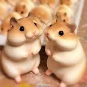 Meet your Posher, Micaela